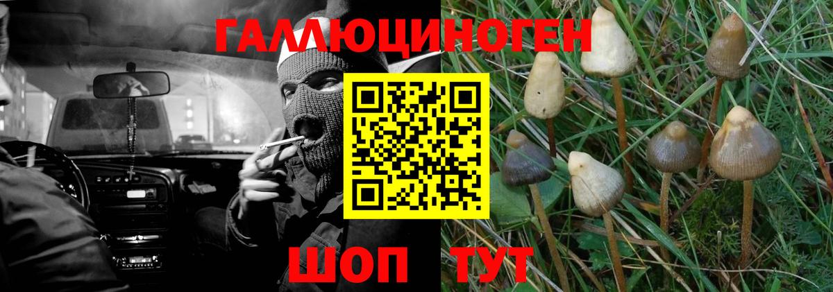 Метадон Кириши